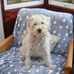 Maureen Barwick - Facebook
