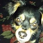 Maureen Baumgardt - @maureenbaumgardt - Instagram