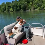 Maureen Behrens - @maureenherds - Instagram