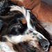 Maureen Bellier - Facebook