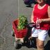 Maureen Bentz - Facebook