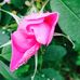 Maureen Berk - Facebook