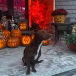 Maureen Berkowitz - @berkowitz.maureen - Instagram