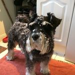 Maureen Betts - @maureen_betts - Instagram