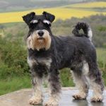 Maureen Betts - @maureenbetts6 - Instagram