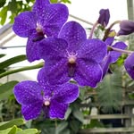 Maureen Bigelow - @maureen.bigelow.5 - Instagram