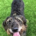 Maureen Bird - @maureen.bird.543 - Instagram