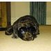 Maureen Boden - Facebook