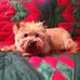 Maureen Bodie - Facebook
