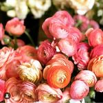 Maureen Boles - @mosie128 - Instagram