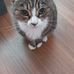 Maureen Boles - Facebook