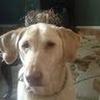 Maureen Bowles - @maureenbowles - TikTok
