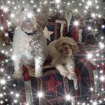 Maureen Millard Boles - @maureenmillardboles - Instagram