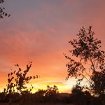 Maureen Bond - @maureenbond6 - Instagram