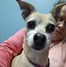 Maureen Bouchard Aiken - Facebook