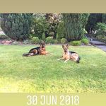 maureen blackbourne - @maureenblackbourne - Instagram