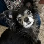 Maureen Bowen - @willowbowenblossom - Instagram