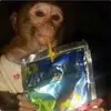 maren.bowling - @maren.bowling - TikTok