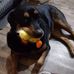 Maureen Bowman - Facebook