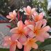 Maureen Boyer - Facebook