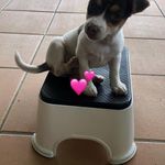 Maureen Bray - @pmj_bray - Instagram