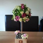 Maureen Breen - @maureen.breen.39 - Instagram