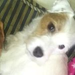 Maureen Breen - @maureen.breen.771 - Instagram