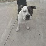 Maureen Breen-Madaus - @breenmadaus - Instagram