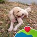Maureen Brewster - Facebook