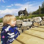 Maureen Britton - @maureenbritton3 - Instagram