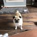 Maureen Britton - Facebook
