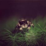 Maureen Brunot - @maureenbrunot - Instagram