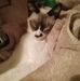 Maureen Bryson - Facebook