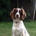 Maureen Bryson - Facebook