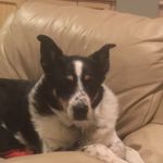Maureen Cain - @moocain - Instagram