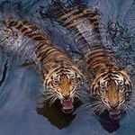 Cagla ptkmiyf Van Gaal - @maureencaldwell0520034 - Instagram