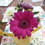 Maureen Callanan - @callanan.maureen - Instagram