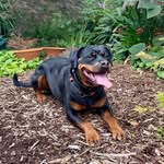 Maureen Canning - @gitana_diabla_adventures - Instagram