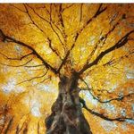 Maureen Carlin - @mommommaureen - Instagram