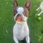 Maureen Carmichael - @maureen.carmichael.73 - Instagram