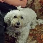 Maureen Carmichael - @shiloh989 - Instagram