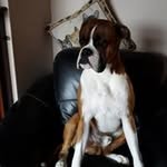 Maureen Carmichael - @mightymo5962 - Instagram