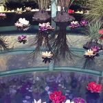 Maureen Castledine - @maureencastledine - Instagram