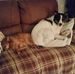 Maureen Chadwick - Facebook