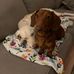 Maureen A Chaney - Facebook
