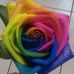 Maureen Cole - Facebook