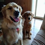 Maureen Cole - @maureen_cole12 - Instagram