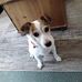 Maureen Cole - Facebook