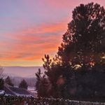 Maureen Groulx Cole - @maureen.cole.10 - Instagram