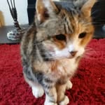 Maureen Comerford - @maureen.comerford.92 - Instagram